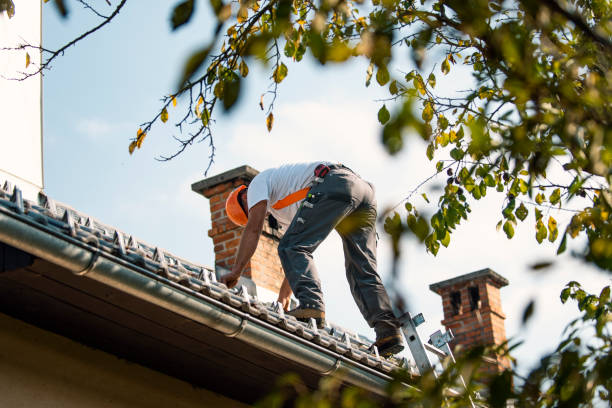 Roof Installation Near Me in Carbondale, CO